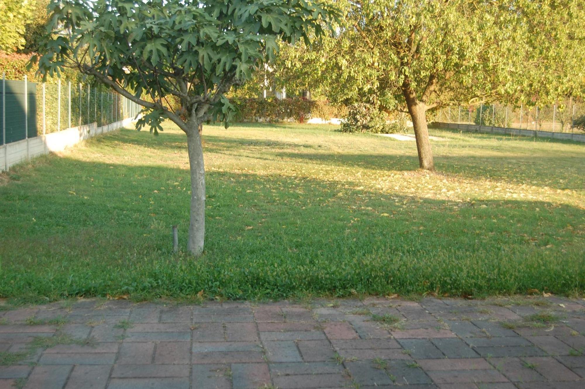 4 Giugno * Ferrara